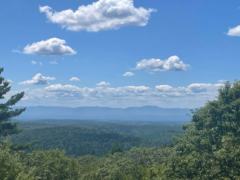 156 Mercer Mountain Road - Catskill mt views wtrees each side